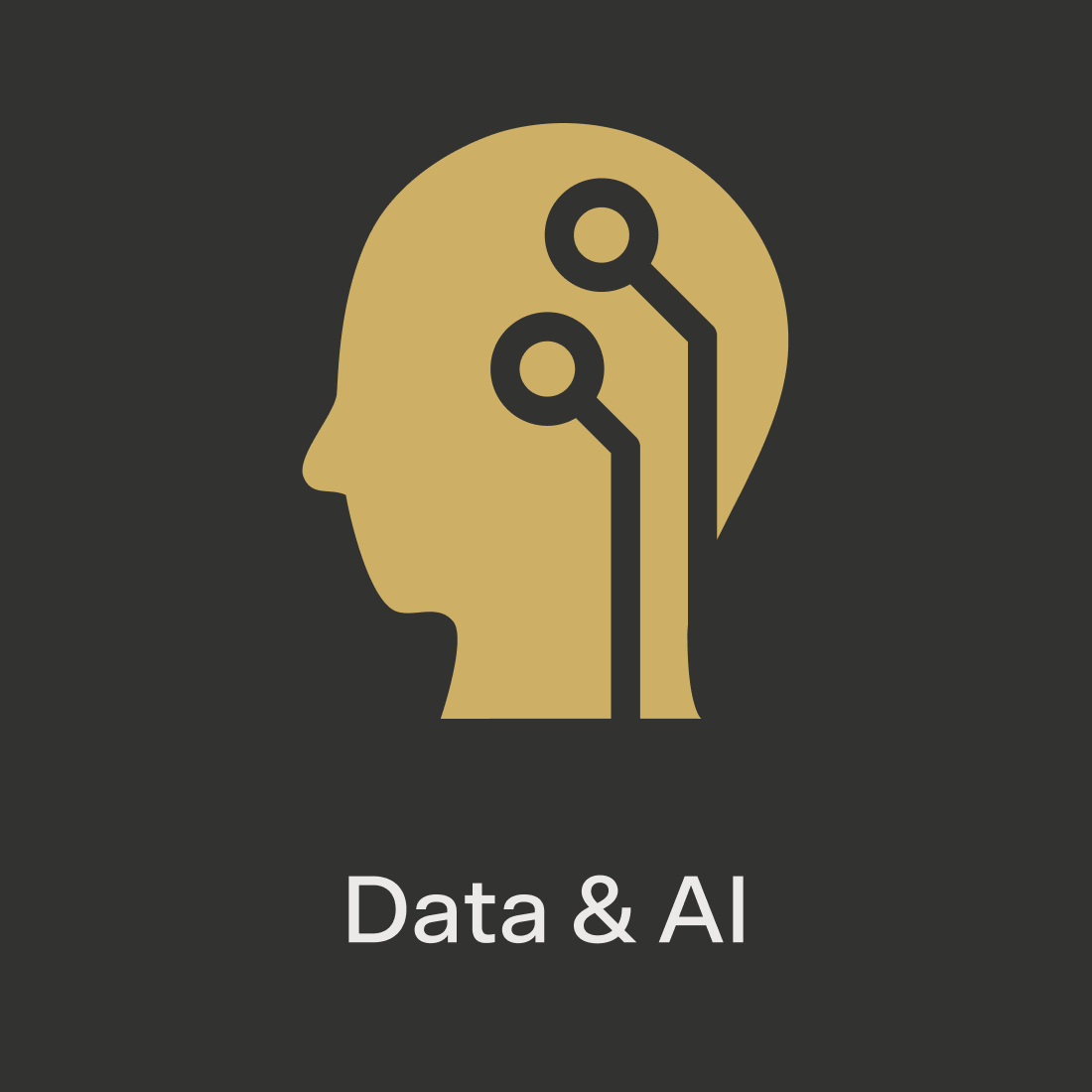 Data & AI icon.